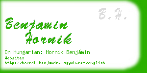 benjamin hornik business card